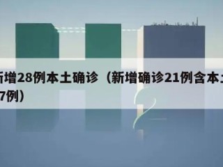 新增28例本土确诊（新增确诊21例含本土17例）