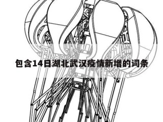 包含14日湖北武汉疫情新增的词条